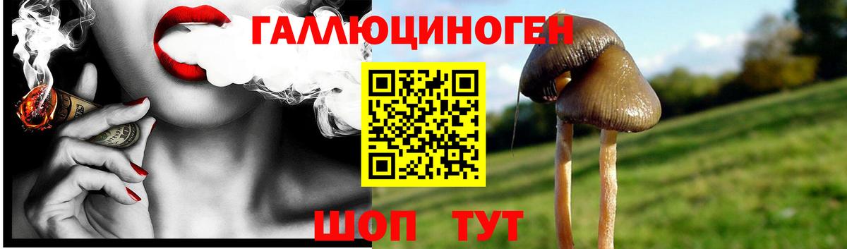 Псилоцибиновые грибы мухоморы Мичуринск
